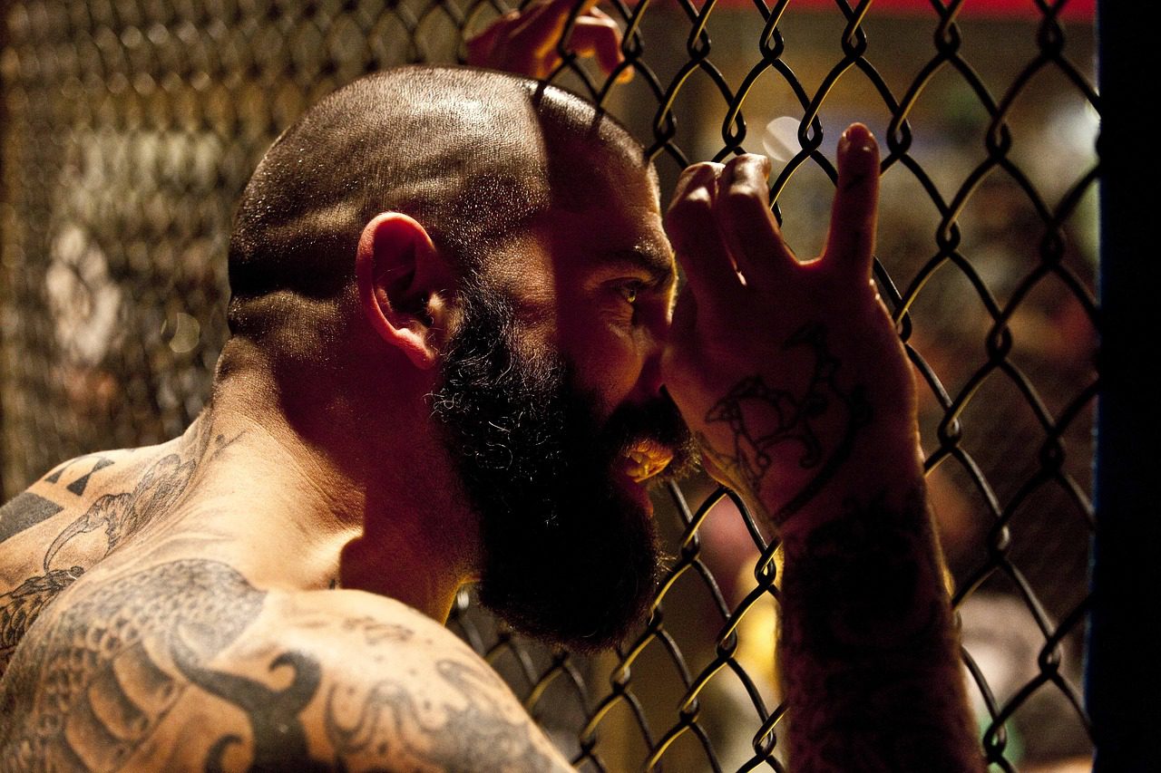Quais são os Maiores Lutadores do UFC Atualmente?